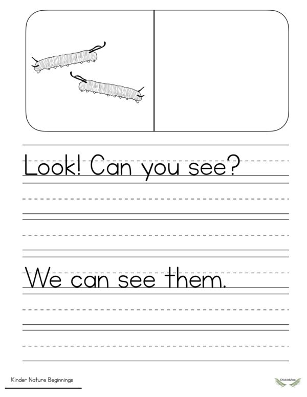 Kinder Nature Beginnings-Copywork Book Level A - Image 4