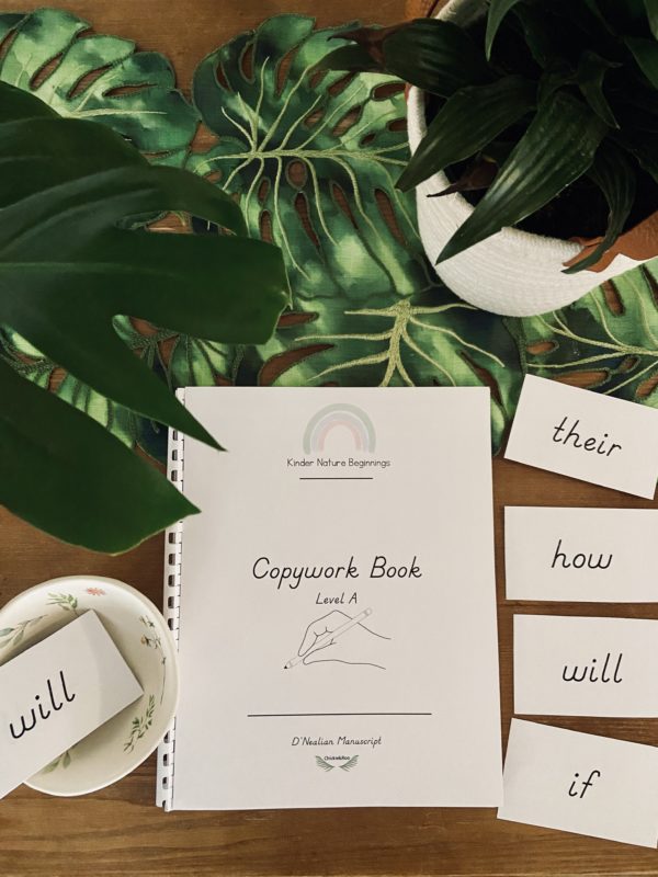 Kinder Nature Beginnings Bundle: FULL Collection - Image 8