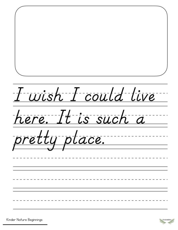 Kinder Nature Beginnings-Copywork Book Level B - Image 4