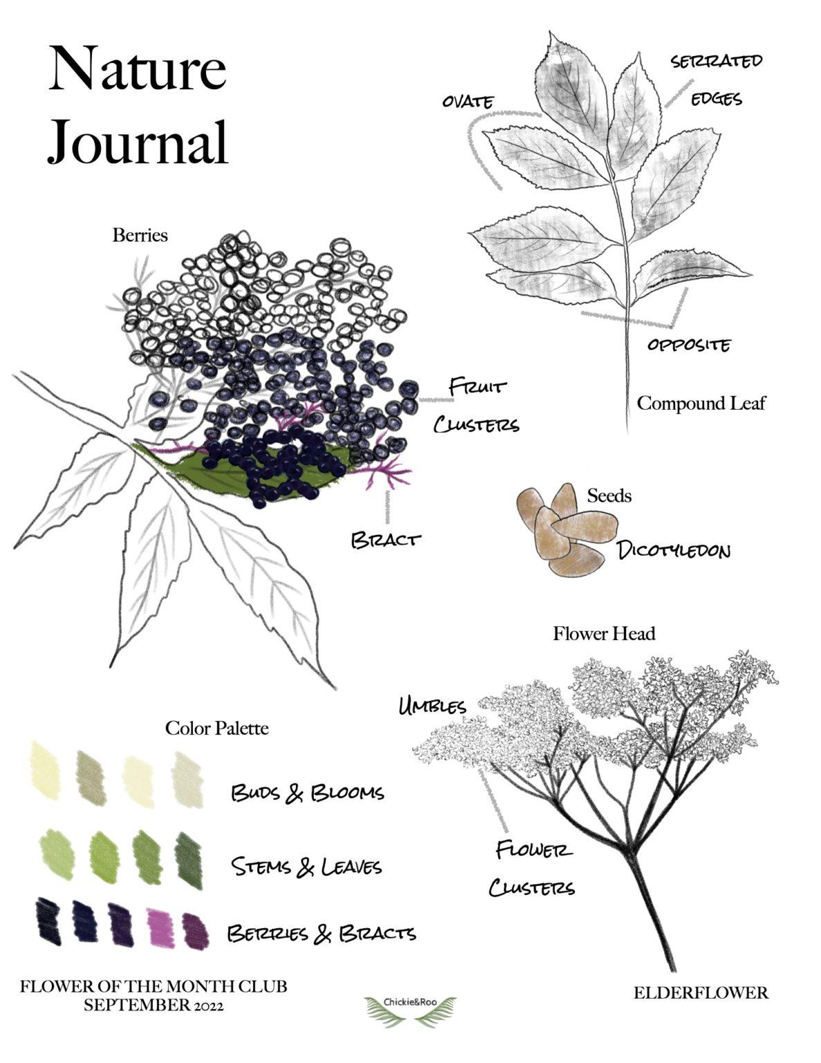 Flower Of The Month Club Chickie & Roo Homeschool