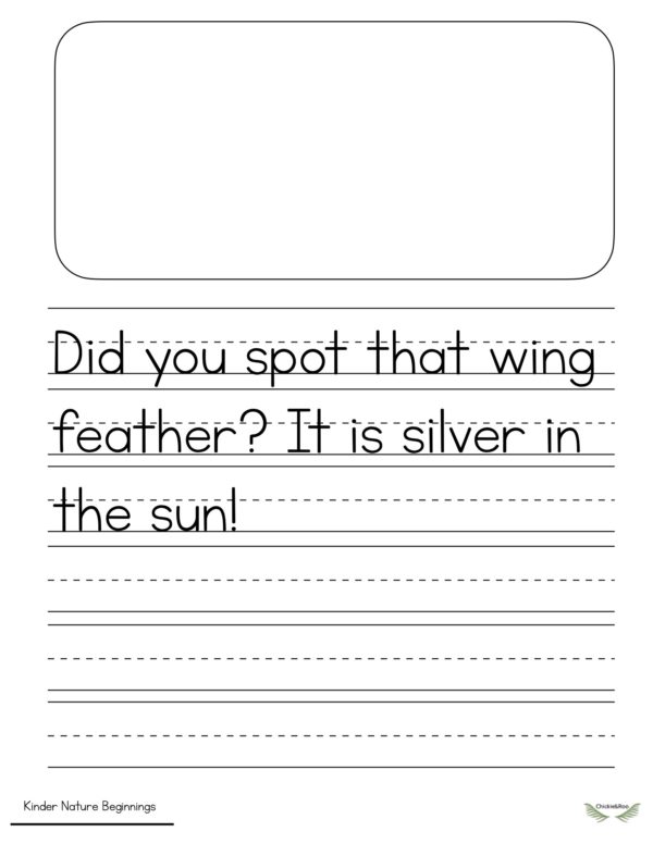 Kinder Nature Beginnings- Copywork Level D - Image 3