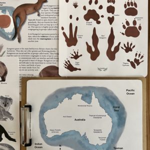 Prep Pack: Marsupials of the World