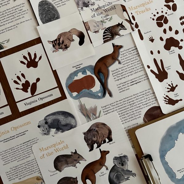 Prep Pack: Marsupials of the World