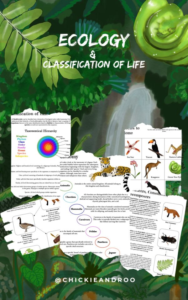 Ecology Prep Pack