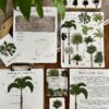 Spring Collection - Image 3