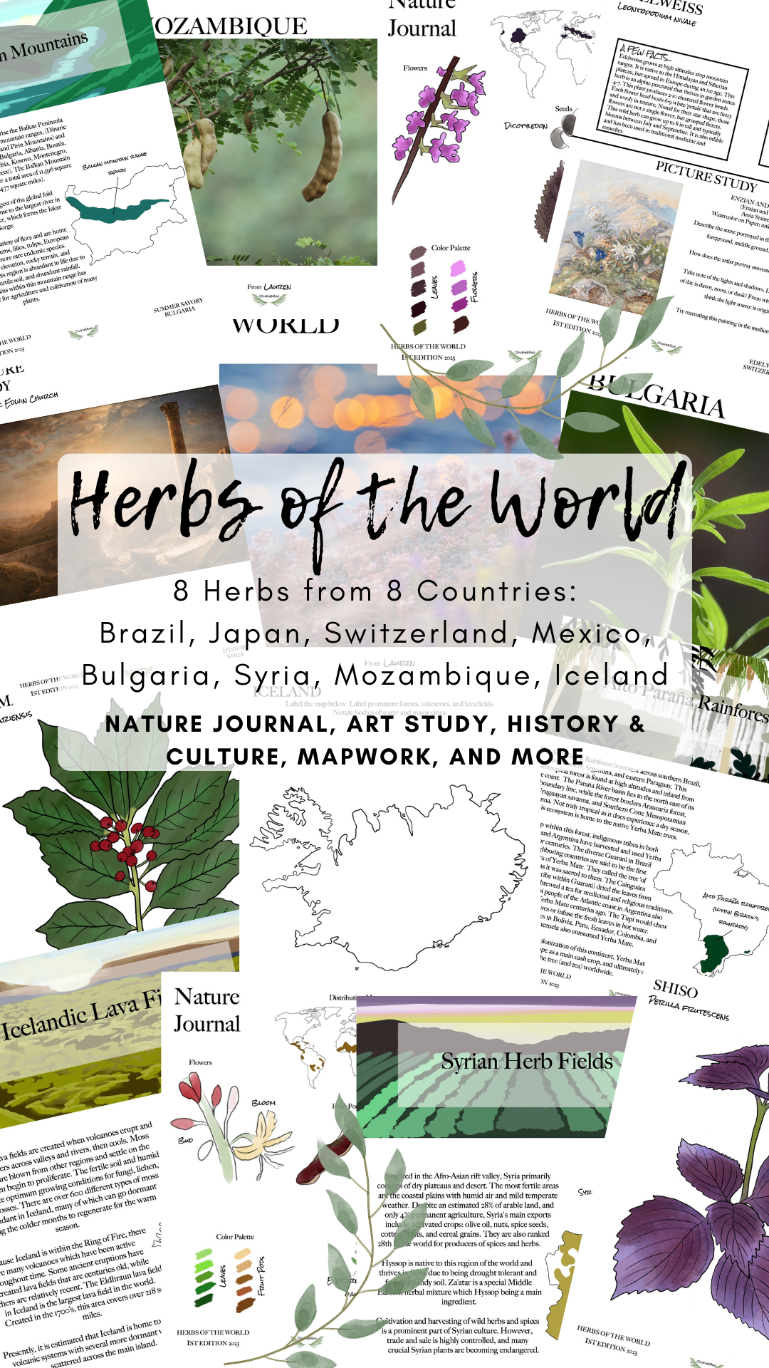Collection　of　Herbs　Homeschool　the　World　Chickie　Roo