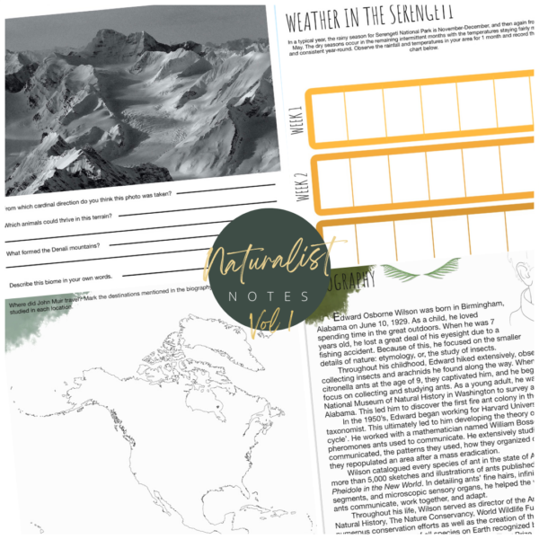 Naturalist Notes: Vol 1 - Image 3