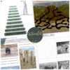 Naturalist Notes: Vol 1 - Image 2