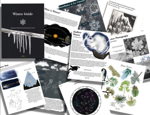 WINTER GUIDE