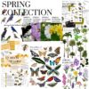 Spring Collection