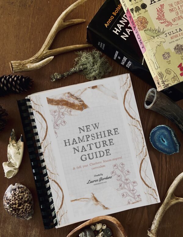 New Hampshire Nature Guide