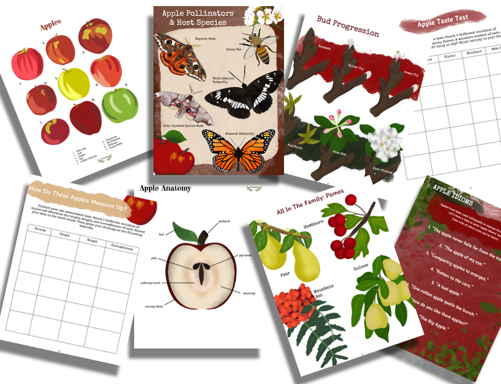 Autumn Collection - Image 4