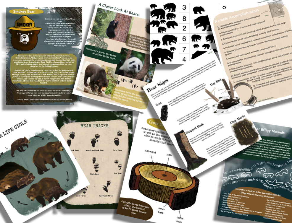 Autumn Collection - Image 5