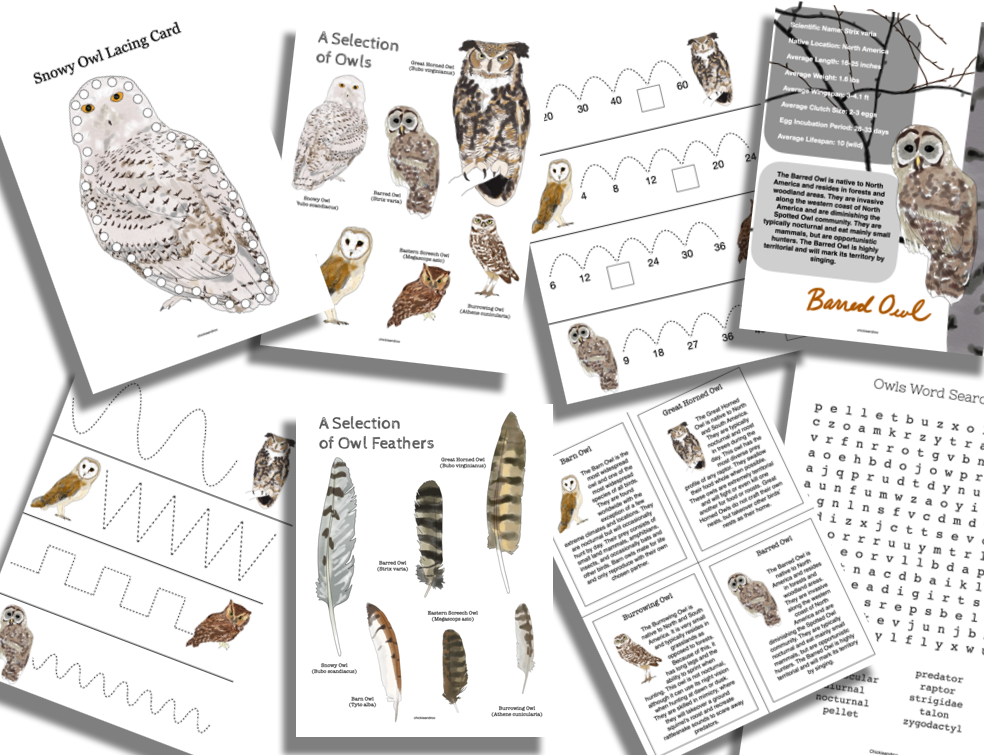 Autumn Collection - Image 6