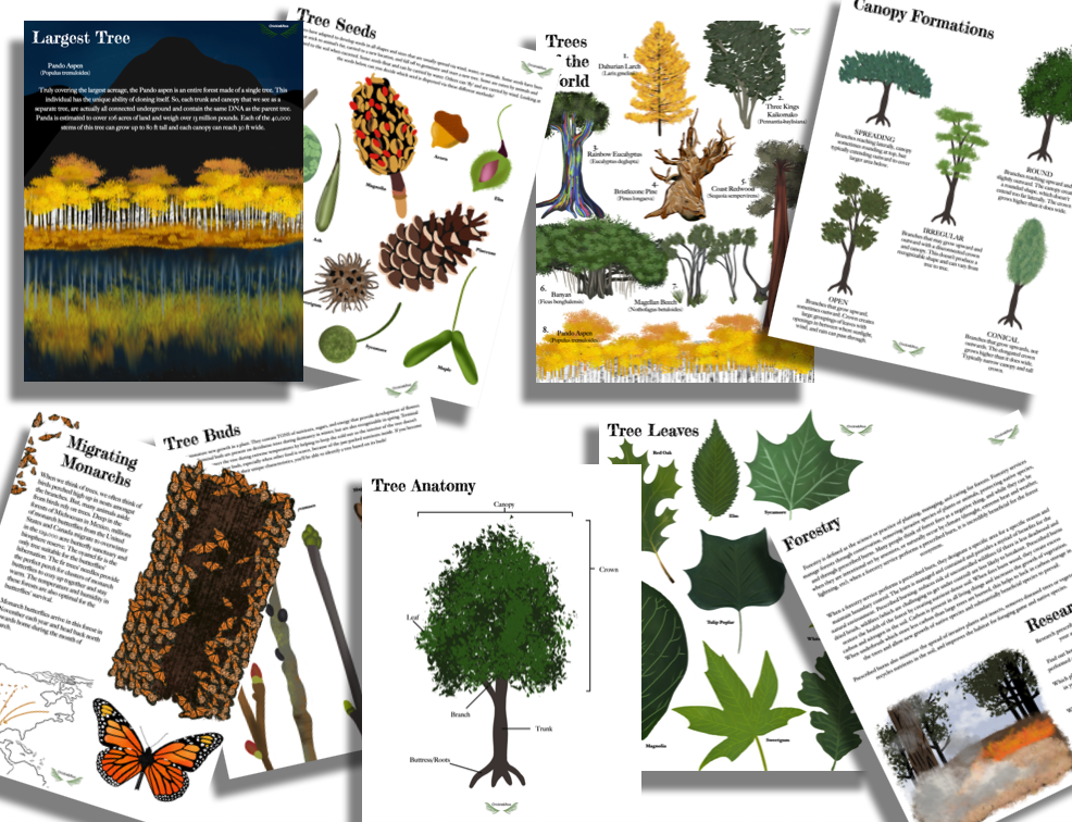 Autumn Collection - Image 3